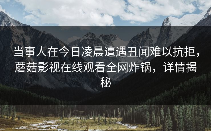 当事人在今日凌晨遭遇丑闻难以抗拒，蘑菇影视在线观看全网炸锅，详情揭秘