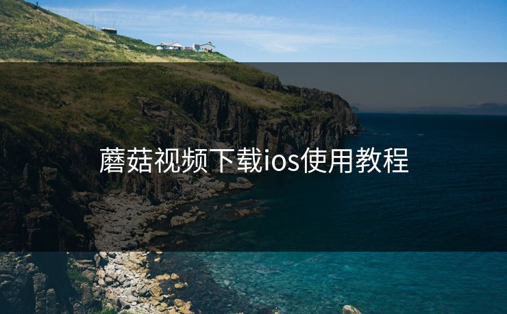 蘑菇视频下载ios使用教程