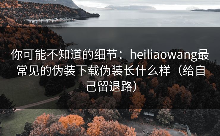 你可能不知道的细节:heiliaowang最常见的伪装下载伪装长什么样(给自己留退路) 你可能不知道的细节:heiliaowang最常见的伪装下载伪装长什么样(给自己留退路)