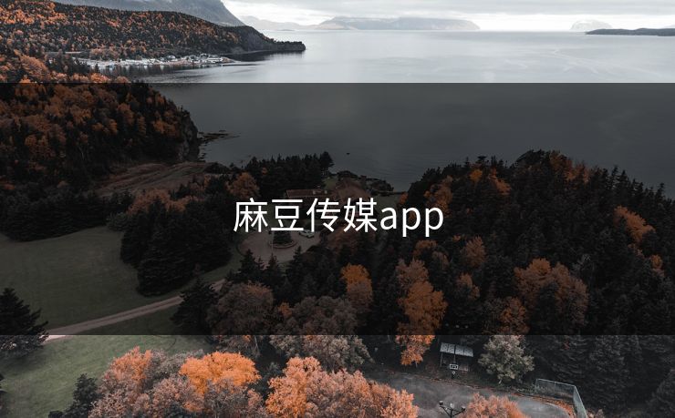 麻豆传媒app
